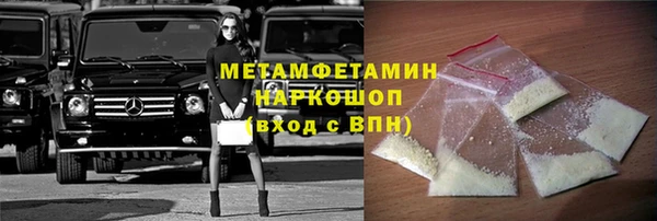 индика Богданович