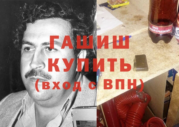 индика Богданович